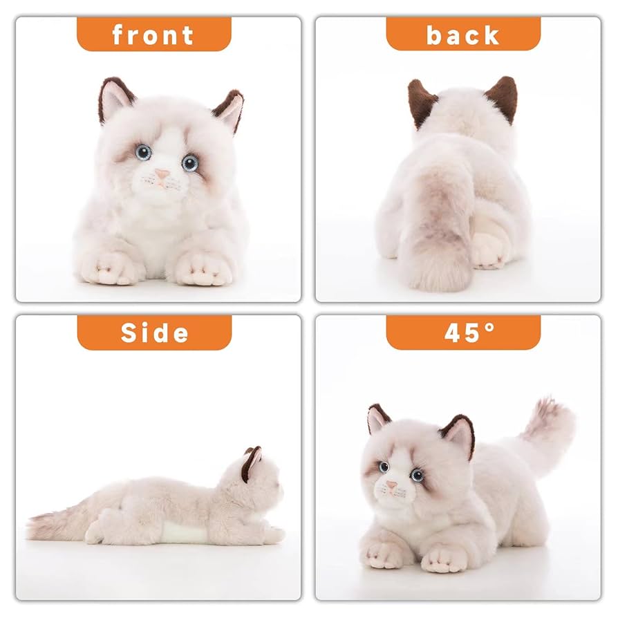 花井祐介 ACME Furniture STUFFED CAT with BOX 花井祐介 ACME Furniture STUFFED CAT with BOX 花井祐介 ACME